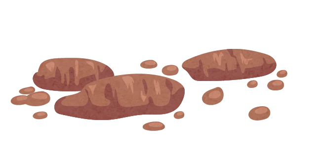 Tabla de popó - ¿Qué significa la popó de tu bebé?