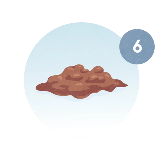 Tabla de popó - ¿Qué significa la popó de tu bebé?