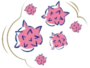 Sobre los cólicos: síntomas, causas y remedios