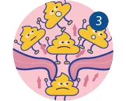 Sobre el estreñimiento: síntomas, causas y remedios