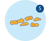 Sobre el estreñimiento: síntomas, causas y remedios