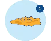 Sobre el estreñimiento: síntomas, causas y remedios