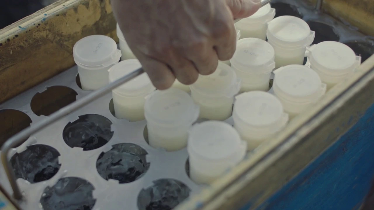 Un conductor en el que puedes confiar