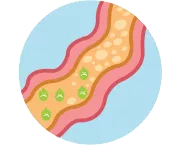 Aprende sobre los probióticos