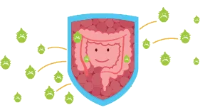Aprende sobre los probióticos