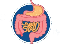 Aprende sobre los probióticos