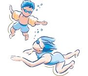 Los roles y funciones del sistema digestivo