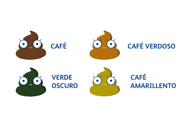 ¿Cómo identificar popó buena y mala?