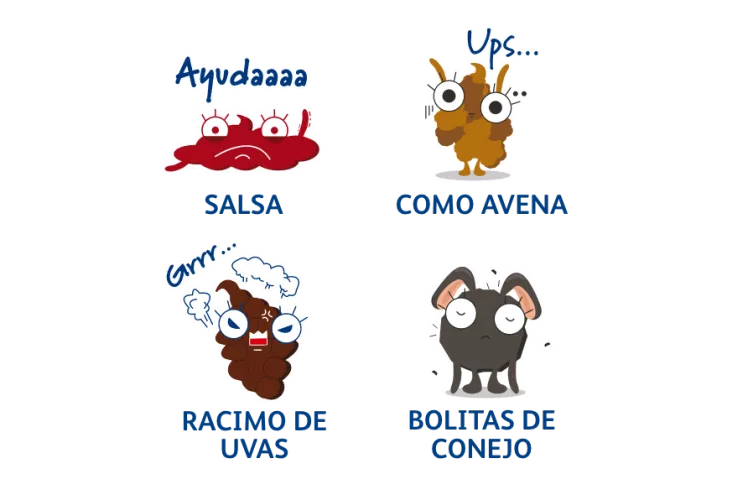 ¿Cómo identificar popó buena y mala?