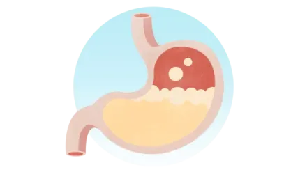 Los roles y funciones del sistema digestivo