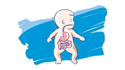 Promoción de la buena salud digestiva en los niños