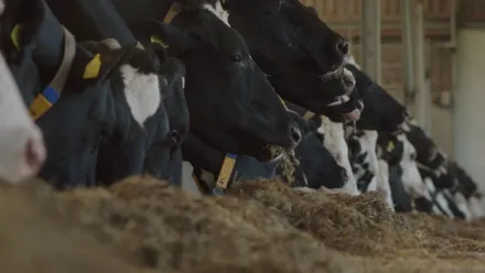 Cultivando con el corazón