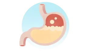 Los roles y funciones del sistema digestivo