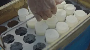 Un conductor en el que puedes confiar