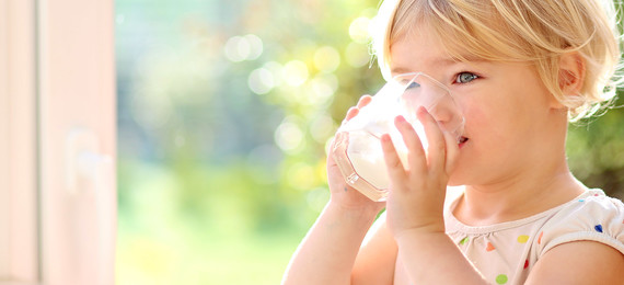 Digestión de la leche: ¿Cómo podría ayudar NOVAS™ Signature Milk a su proceso de digestión?