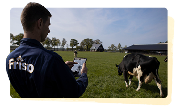 Adoptando la tecnología: Entendiendo mejor a las vacas