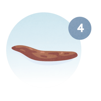 Tipo 4: Heces que parecen una salchicha o serpiente y son suaves y lisas